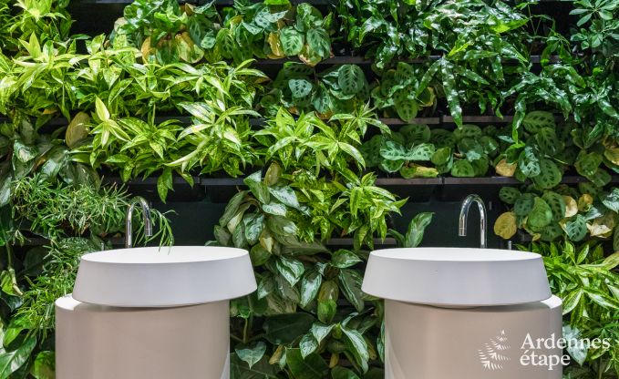 Ferienhaus La Roche-en-Ardenne 2 Pers. Ardennen Wellness