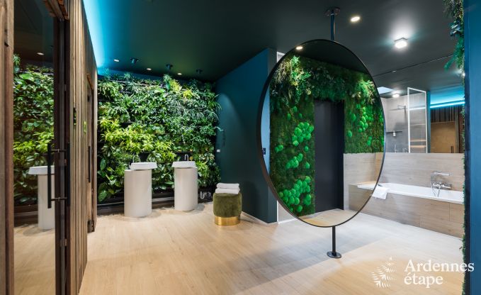 Ferienhaus La Roche-en-Ardenne 2 Pers. Ardennen Wellness