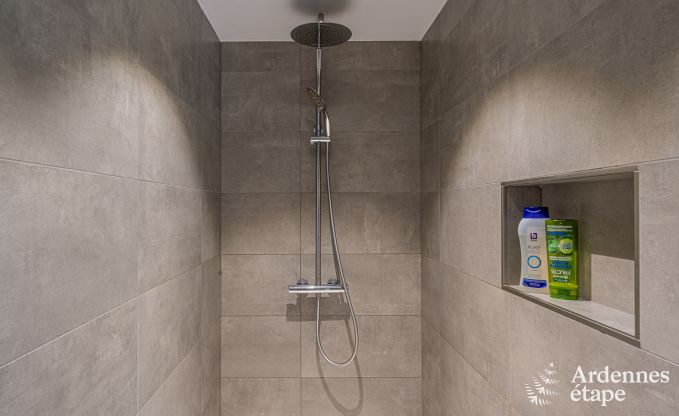 Ger�umiges Ferienhaus in La Roche-en-Ardenne