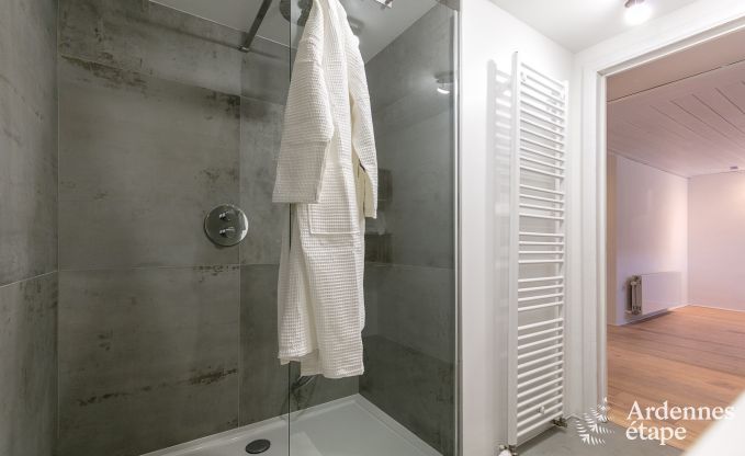 Ferienhaus La Roche-en-Ardenne 6/8 Pers. Ardennen Wellness