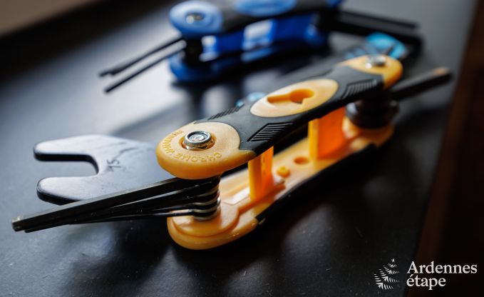 Ferienhaus La Roche en Ardenne 15/16 Pers. Ardennen Schwimmbad