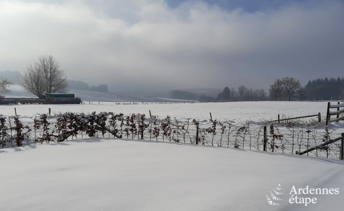 Ferienhaus La Roche-en-Ardenne 10 Pers. Ardennen