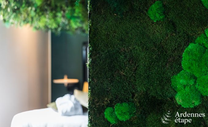 Ferienhaus La Roche-en-Ardenne 2 Pers. Ardennen Wellness