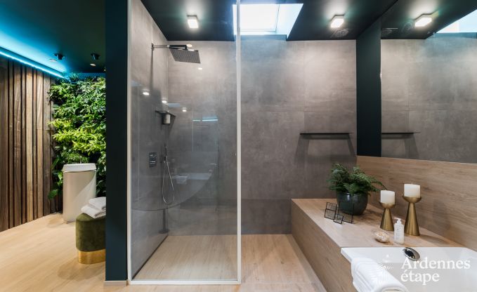 Ferienhaus La Roche-en-Ardenne 2 Pers. Ardennen Wellness