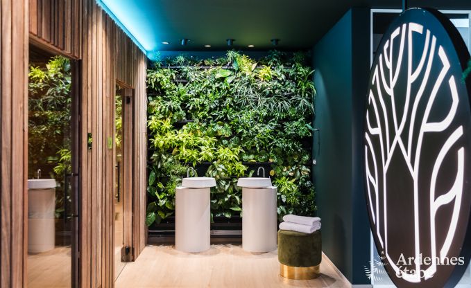 Ferienhaus La Roche-en-Ardenne 2 Pers. Ardennen Wellness