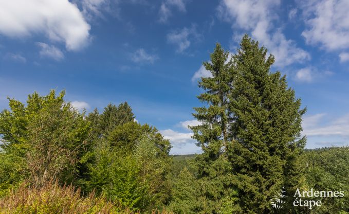 Ferienhaus La Roche-en-Ardenne 8 Pers. Ardennen Wellness