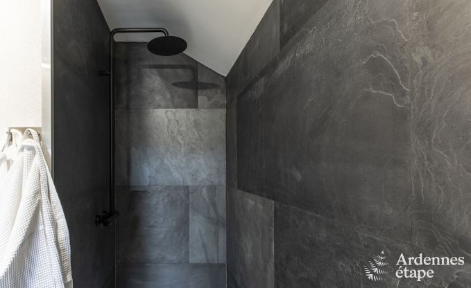 Ferienhaus La Roche-en-Ardenne 8 Pers. Ardennen Schwimmbad Wellness