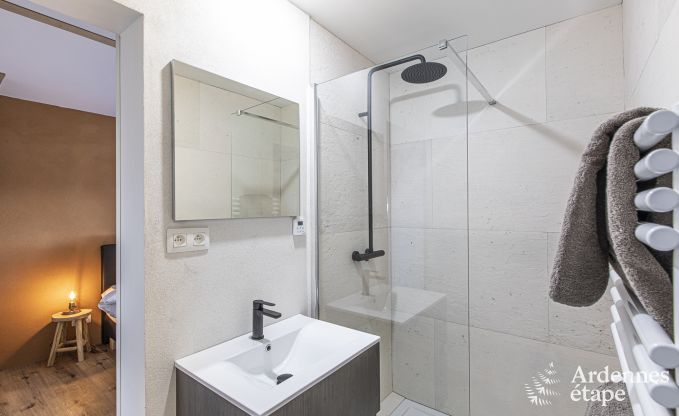 Ferienhaus La Roche-en-Ardenne 8 Pers. Ardennen Schwimmbad Wellness