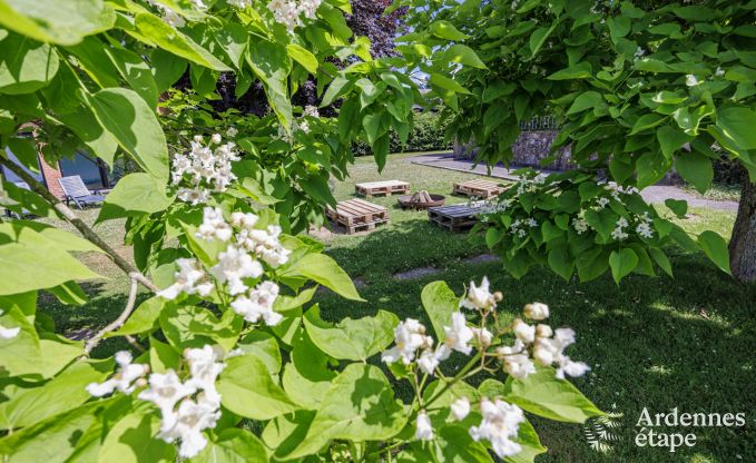 Ferienhaus La Roche en Ardenne 15/16 Pers. Ardennen Schwimmbad