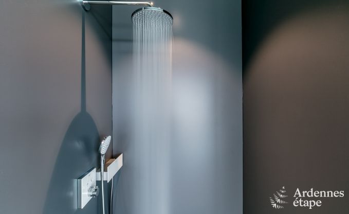 Luxusvilla La Roche en Ardenne 14 Pers. Ardennen Schwimmbad Wellness