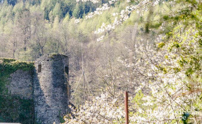 Ferienhaus La Roche 5 Pers. Ardennen