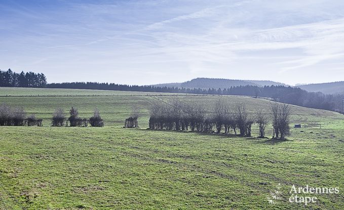Ferienhaus La Roche 12 Pers. Ardennen