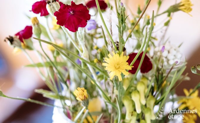 Ferienhaus La Roche 9 Pers. Ardennen