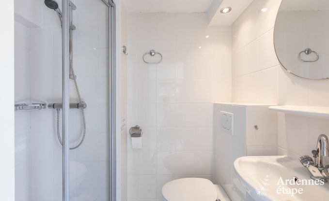 Ferienhaus La Roche 9 Pers. Ardennen Wellness