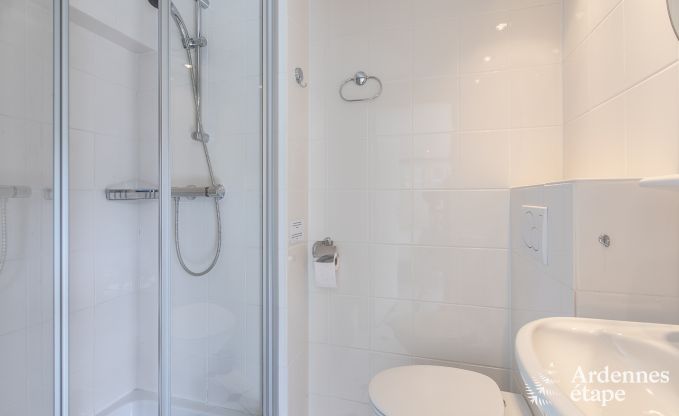 Ferienhaus La Roche 9 Pers. Ardennen Wellness