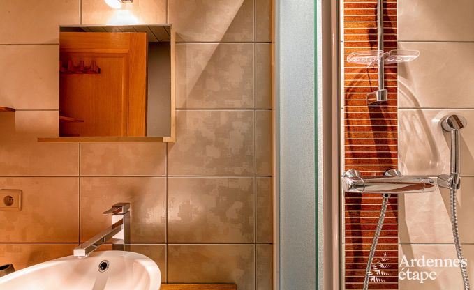 Ferienhaus La Roche 12 Pers. Ardennen