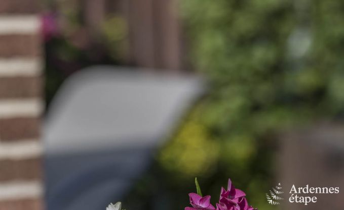 Ferienhaus La Roche 6 Pers. Ardennen