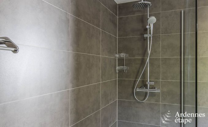 Ferienhaus La Roche 11/12 Pers. Ardennen Schwimmbad