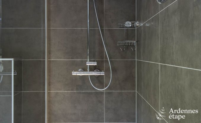 Ferienhaus La Roche 11/12 Pers. Ardennen Schwimmbad