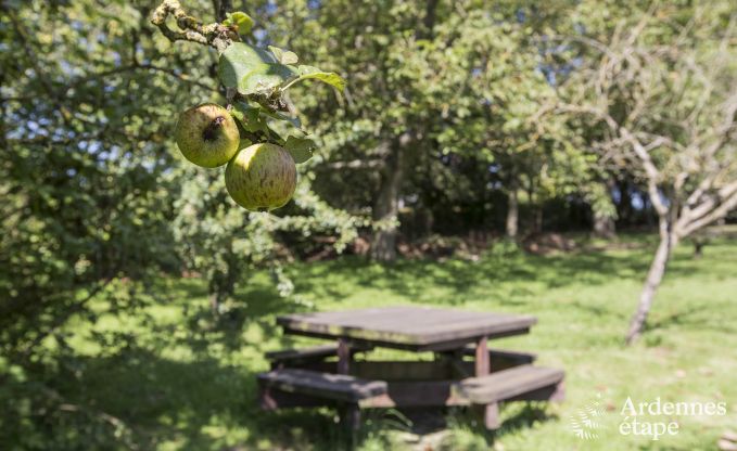 Ferienhaus La Roche 11/12 Pers. Ardennen Schwimmbad