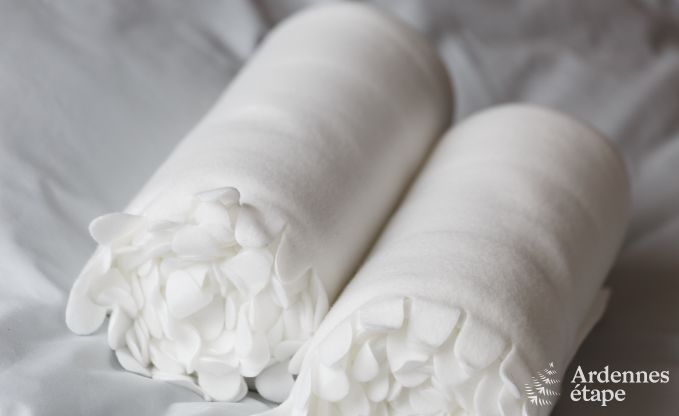 Luxusvilla La Roche 9 Pers. Ardennen Schwimmbad Wellness