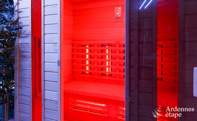 Luxusvilla La Roche 9 Pers. Ardennen Schwimmbad Wellness