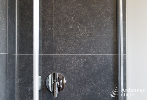 Ferienhaus Lavaux-Sainte-Anne 15 Pers. Ardennen Wellness