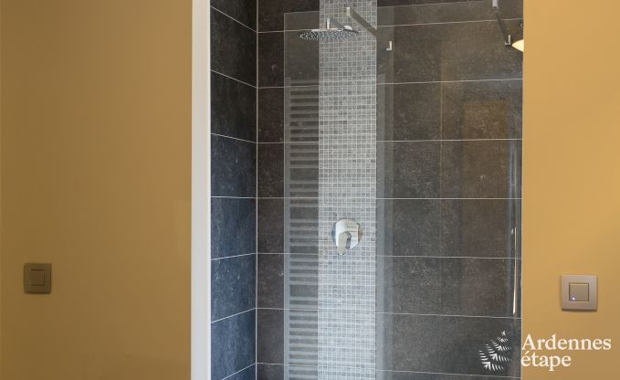 Ferienhaus Lavaux-Sainte-Anne 15 Pers. Ardennen Wellness