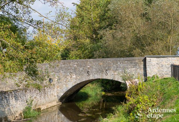 Ferienhaus Lavaux-Sainte-Anne 15 Pers. Ardennen Wellness