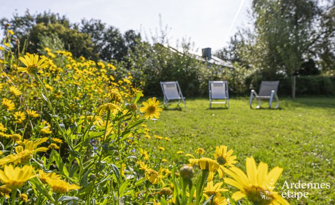 Ferienhaus L�glise 4 Pers. Ardennen Wellness