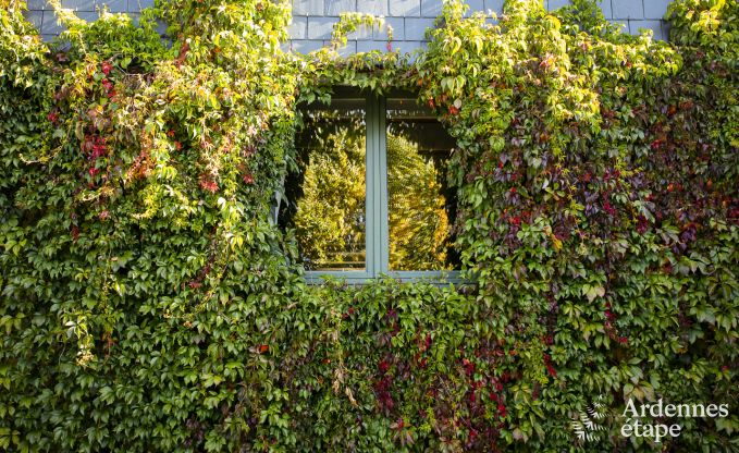 Cottage Leglise 26 Pers. Ardennen Wellness