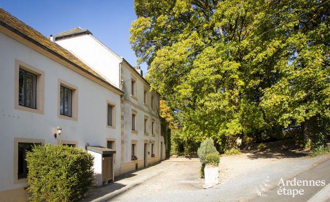 Cottage Leglise 26 Pers. Ardennen Wellness