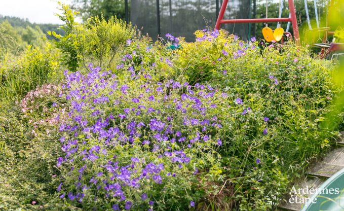 Ferienhaus Lglise 15 Pers. Ardennen Wellness Behinderten gerecht