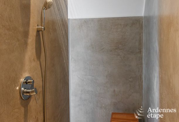 Ferienhaus Leglise 12/14 Pers. Ardennen Wellness