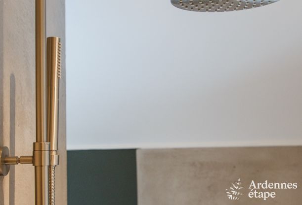 Ferienhaus Leglise 12/14 Pers. Ardennen Wellness