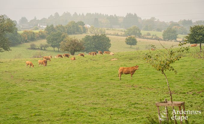 Charmantes Tiny House fr 4 Personen in Lglise mit Kochnische, Holzofen und Privatgarten
