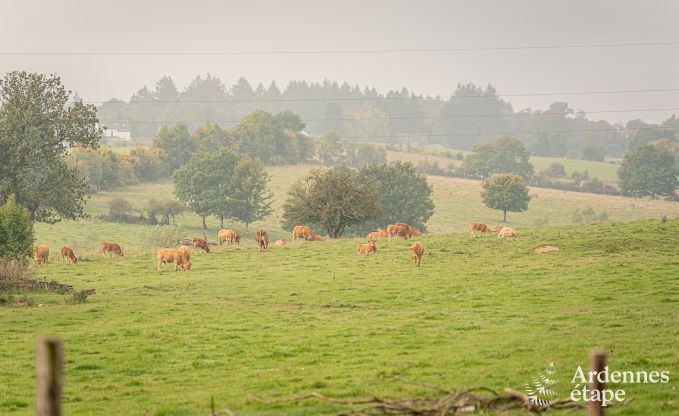 Charmantes Tiny House f�r 4 Personen in L�glise mit Kochnische, Holzofen und Privatgarten