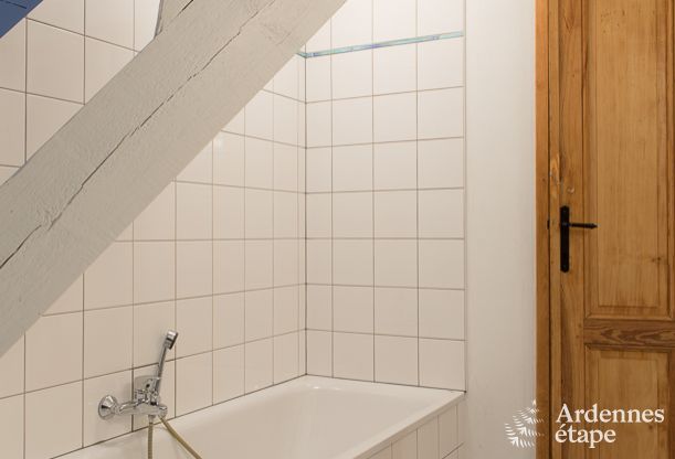 Elegantes Schlossgebaude Libin 14 Pers. Ardennen