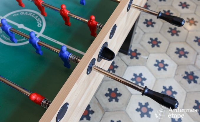 Elegantes Schlossgebaude Libin 14 Pers. Ardennen