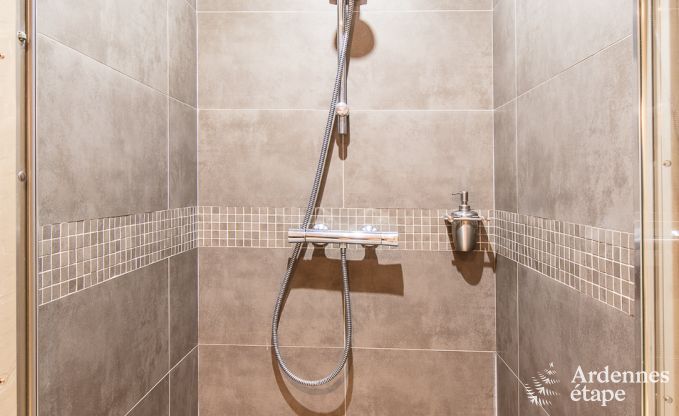 Ferienhaus Libin 2 Pers. Ardennen Schwimmbad Wellness