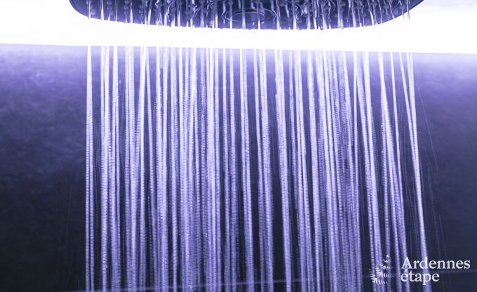 Ferienhaus Libin 11/14 Pers. Ardennen Wellness