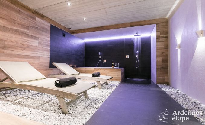 Ferienhaus Libin 11/14 Pers. Ardennen Wellness