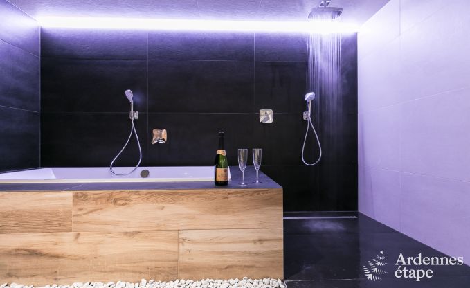 Ferienhaus Libin 11/14 Pers. Ardennen Wellness