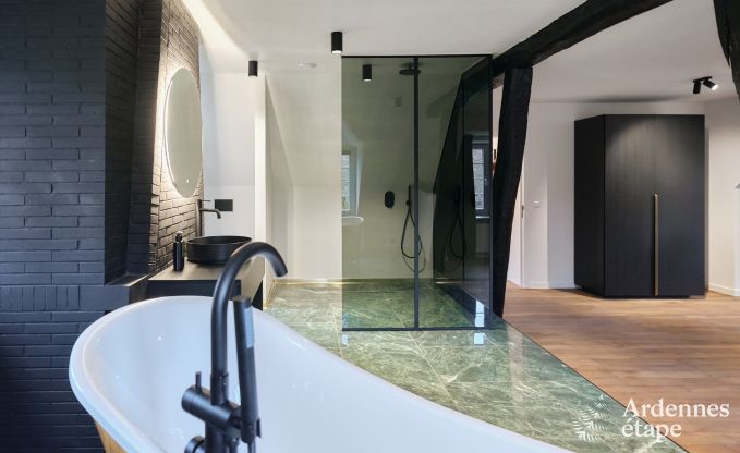 Schloss in Libin: eleganter Aufenthalt fr 40 Personen mit umfangreichen Annehmlichkeiten