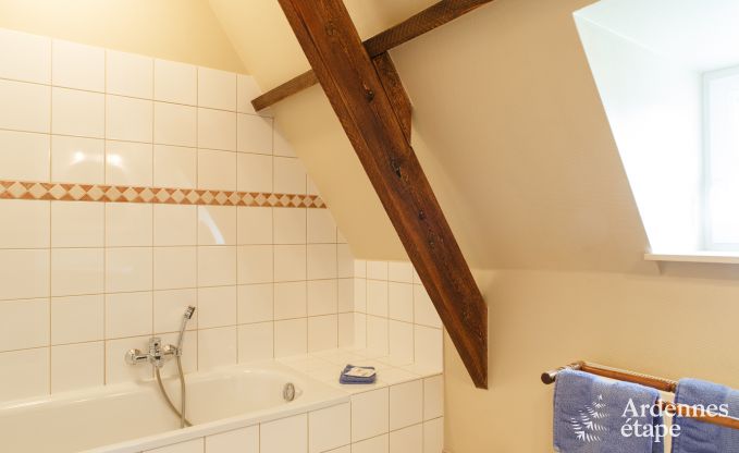 Elegantes Schlossgebaude Libin 14 Pers. Ardennen