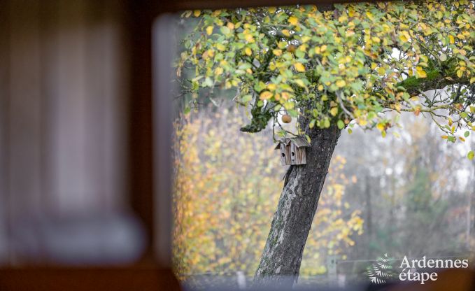 Ferienhaus Libin 2 Pers. Ardennen Behinderten gerecht
