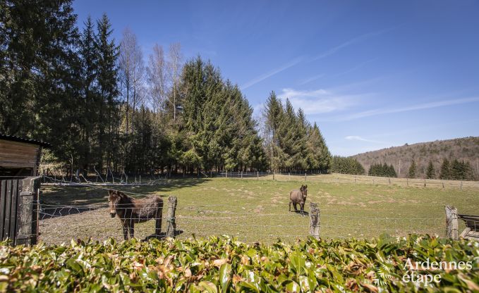 Luxusvilla Libin 27 Pers. Ardennen Schwimmbad Wellness