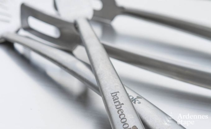 Luxusvilla Libin 18 Pers. Ardennen Schwimmbad Wellness