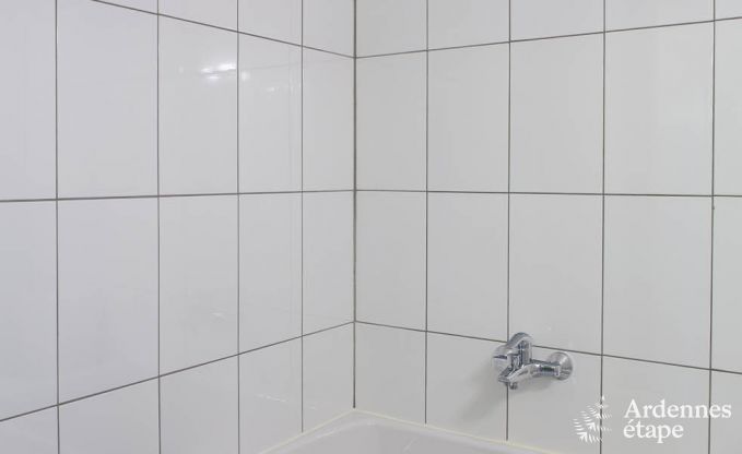 Luxusvilla Libin 18 Pers. Ardennen Schwimmbad Wellness