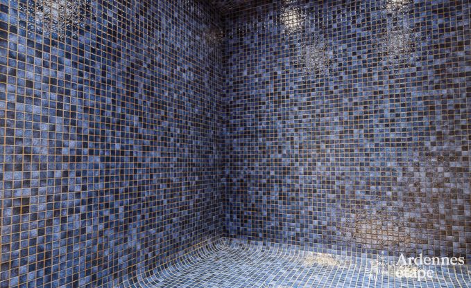 Ferienhaus Libramont-Chevigny 7/9 Pers. Ardennen Wellness